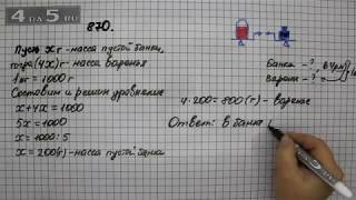 Упражнение 870 Математика 5 класс Виленкин Н.Я.