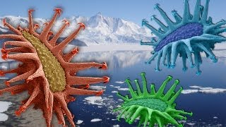 Life discovered in Antarctic "ALIEN" Lake