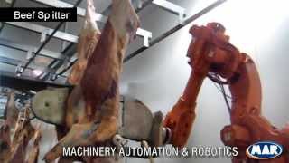 Red Meat Processing Technologies