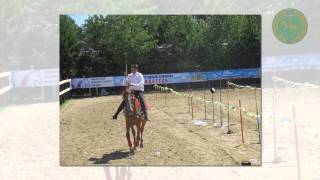 7-й чемпионат России по джигитовке