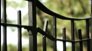Dan Reed - Losing My Fear (Official video)