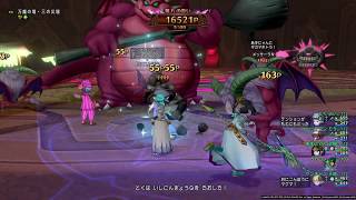 [ドラクエ10]万魔の塔3完全制覇動画　天地視点　武闘家占い師天地どうぐ使い構成！