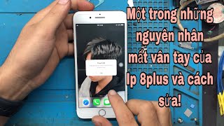 Sửa lỗi mất vân tay cho IP 8plus | Repair IP 8P lost touch id
