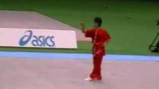 Wushu Chang Quan 長拳　(Ichikizaki Daisuke　市来崎大祐, 2007)