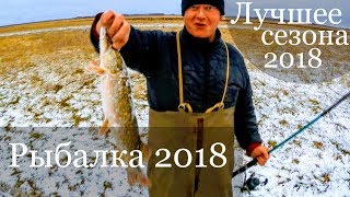 Рыбалка 2018 -2019. Рыбалка на щуку. Рыбалка зимой. Рыбалка на карпа. Лучшее за 2018