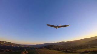 C1 Chaser - Chasing the sunset