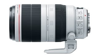 Canon 100-400 L II lens review test shots compare 100-400 vs 300 with 1.4 extender