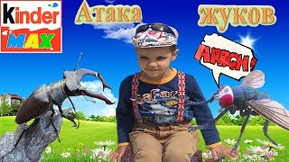 Такого не было даже у Мисс Кэти и мистер Макс!!! ОГРОМНЫЕ ЖУКИ!!!!
