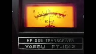 Recepção na banda de 80 Metros - Yaesu FT 101z– Antena DIPOLO