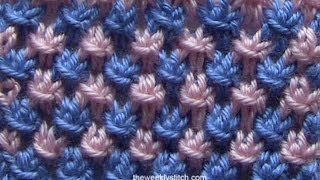 Two Color Star Stitch