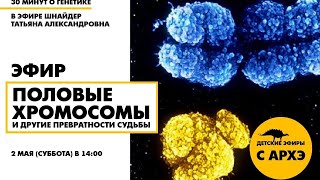Детский эфир «Половые хромосомы и другие превратности судьбы» в рамках рубрики «30 минут о генетике»