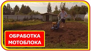 Обработка земли с помощью мотоблока Нева МБ 2, осенняя вспашка.