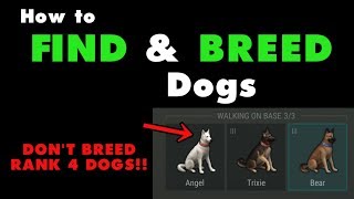 How to Find and Breed Dogs in Last Day on Earth Survival. LDOE puppy food