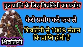पुत्र प्राप्ति के लिए शिवलिंगी का प्रयोग।शिवलिंगी के बीज।shivlingi ke bij/शिवलिंगी