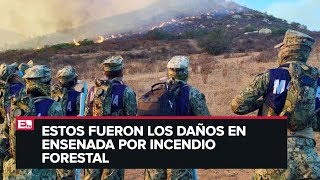 Así combate la Semar los incendios en Baja California