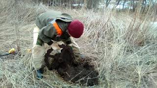 Первая чудесная поляна в этом сезоне  Коп металлолома