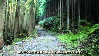【街道紀行】高野大峯街道（奈良r53）と野迫川村の雲海120728