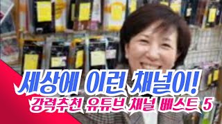 빠져듭니다~너무너무 유익한 유튜브 채널 소개 / 꼭 보세요~ (feat.권경희쌤) : MJ , 성호육묘장, 까레라이스TV, 엄마~내가 알려줄께, 주부아빠