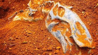 Кости динозавра!!! Как найти кости?