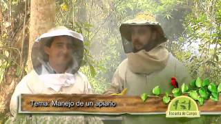 Escuela de campo: Manejo de un apiario - 16 de julio