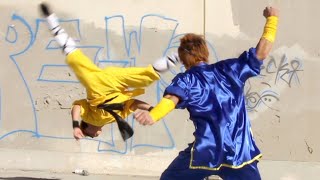Tiger Kung Fu vs Wushu | Martial Arts Action Scene
