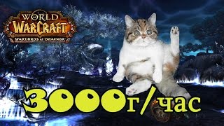 Фарм голды в дреноре 6.2 2500г-4500г/час