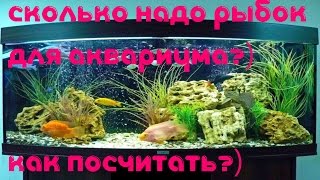 Аквариумные рыбки! Как узнать нужное количество для аквариума? [#Аквариумные рыбки]