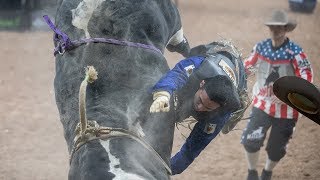 Top Bulls That Ruled Anaheim | 2018