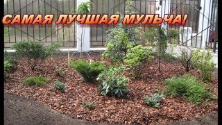 Самая лучшая мульча! Как работает самодельный садовый измельчитель