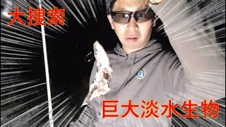 超巨大淡水生物を追う！果たして釣れるのか！？　ワニガメ捕獲作戦　ツリアメ