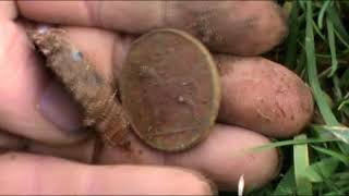 metal detecting Ireland 11-11-2017 and 30-12-2017