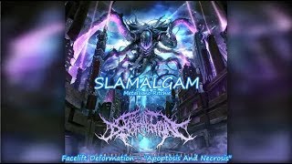 SLAMALGAM (Slamming Brutal Death Metal Compilation)