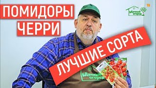 Помидоры Черри. Лучшие сорта и их особенности