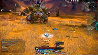 TERA 24 Priest killing Torpid Kumas