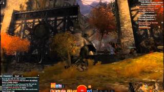 Guild Wars 2 Elementarmagier - Level 5