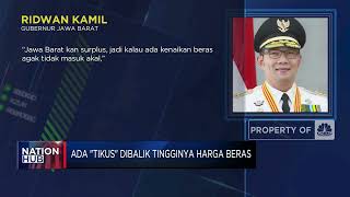 Ada "Tikus" di Balik Tingginya Harga Beras