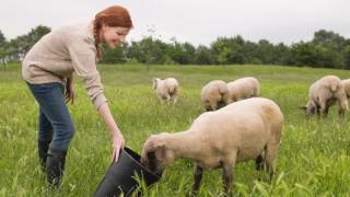 How to save the environment with your clothes | Keila McCracken | TEDxBemidji