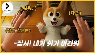 [예고편] 올 크리스마스, 댕벤져스 출~동! - 프린스 코기/[preview] The Queen's Corgi , 2019