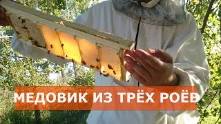 СЕМЬЯ МЕДОВИК ИЗ ТРЁХ РОЁВ/МЕДОСБОР 2016