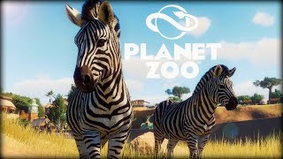 ? Planet Zoo BETA #7 - Zebry "po przejściach"...?