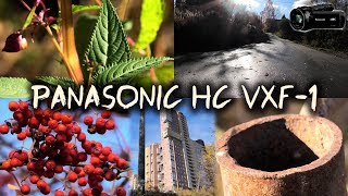 Panasonic HC VXF-1 4K Camera Test OUTDOORS ZOOM 32X CLOSE-UP  panasonic camcorder