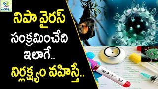 Nipah Virus Symptoms and causes - Health Tips In Telugu || Mana Arogyam