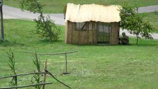 2009 Iola WI Military show reenactment part 1