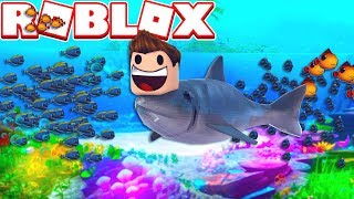СИМУЛЯТОР РЫБЫ И МОРСКОЙ ЖИЗНИ! ROBLOX SIMULATOR
