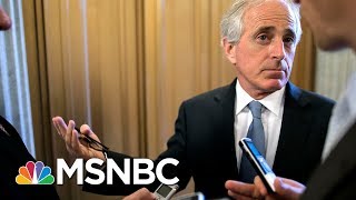 Senator Bob Corker Fires Back At President Donald Trump's 'Untruths' | Morning Joe | MSNBC