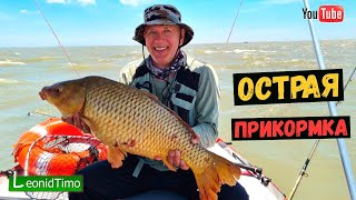 Ловля карпа на "ПРОБКУ" с ОСТРОЙ прикормкой. Рыбалка в Аргентине