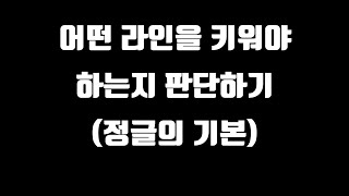 어떤 라인을 키워야하는지에 대하여(람머스 정글 강의)