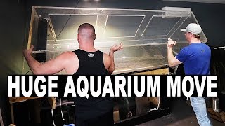 BIG aquarium move - NEW fish room part 2 | The King of DIY