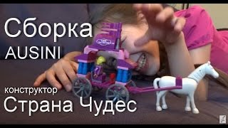 Обзор сборки Страна чудес. Конструктор AUSINI Страна чудес.