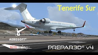 Aerosoft - Canary islands professional - Tenerife Sur